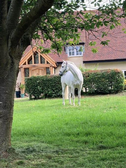2 Beds & Living In Our Idyllic Country Cottage Bedford Exterior foto